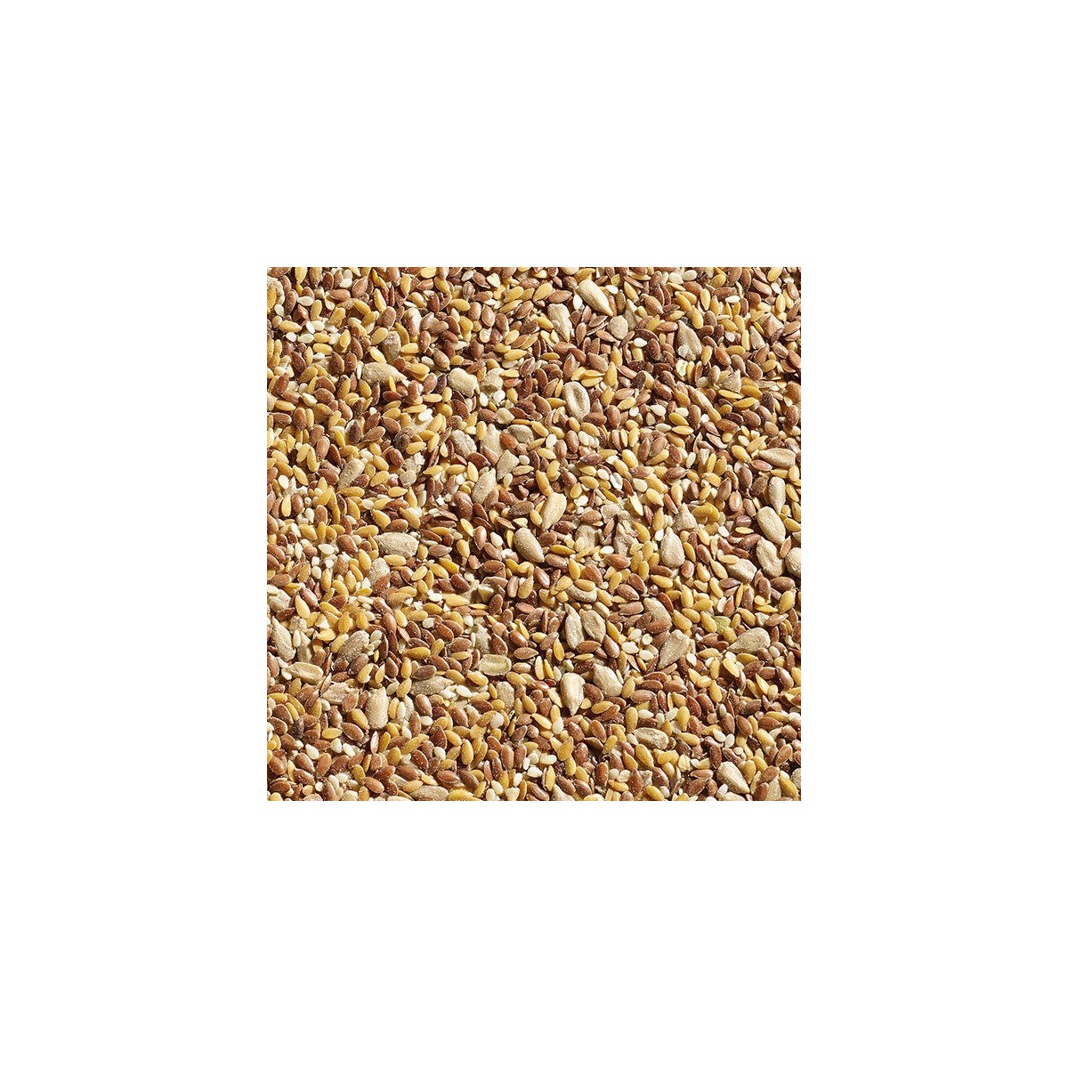 KOMPLET MIXED SEEDS 10KG  ZAK