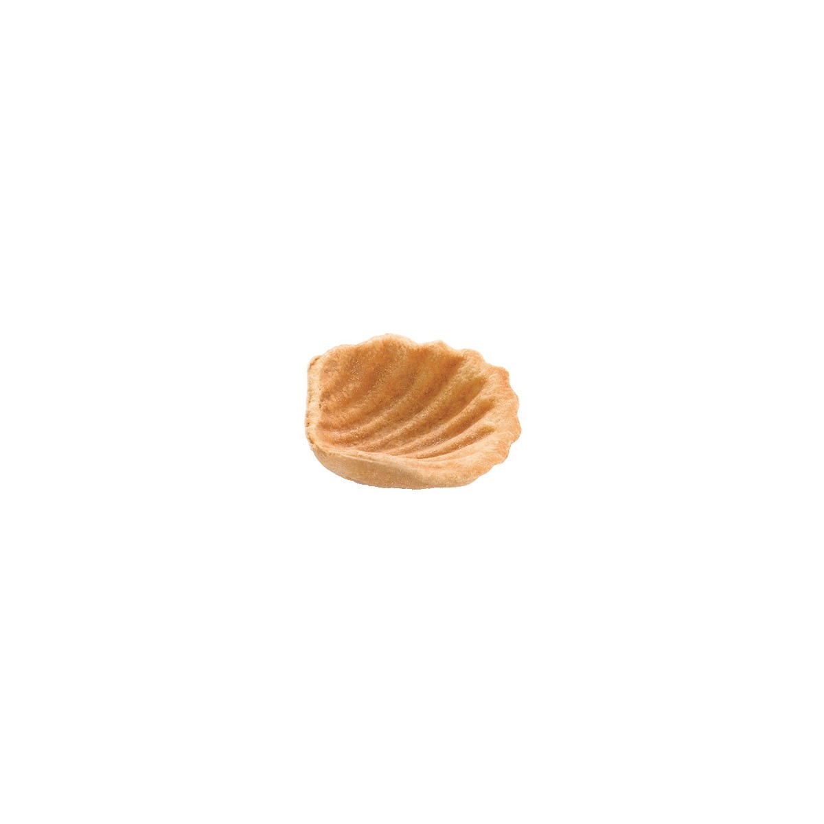 PIDY MINI SCALLOP SHELL Ø5CM H1CM 90 PIECES  BOX