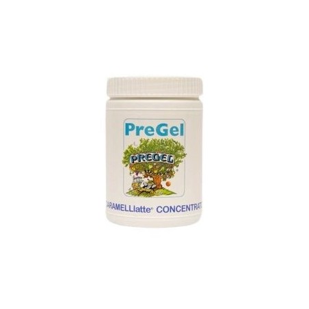 PREGEL PANNACREMA AROMA GECONCENTREERD KARAMEL LATTE 6 X 1,3KG  POTJE