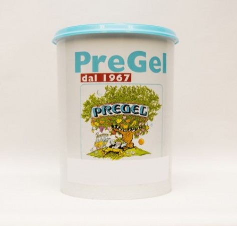 PREGEL PANNACREMA AROMA GECONCENTREERD KOKOSNOOT 2X5KG  DOOSJE