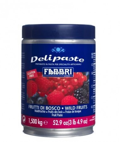 FABBRI DELIPASTA BOSVRUCHTEN AROMA 1,5KG  DOOS