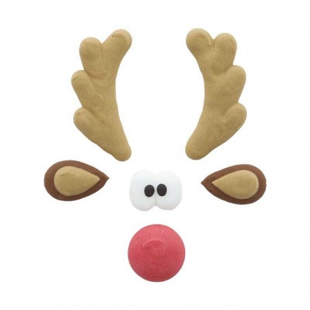 1014364 SET VISAGE RUDOLPH 30PCES