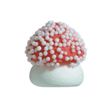 1051321 CHAMPIGNON SUCRE GRAND DIA 2.1CM 180CPES BTS/CD