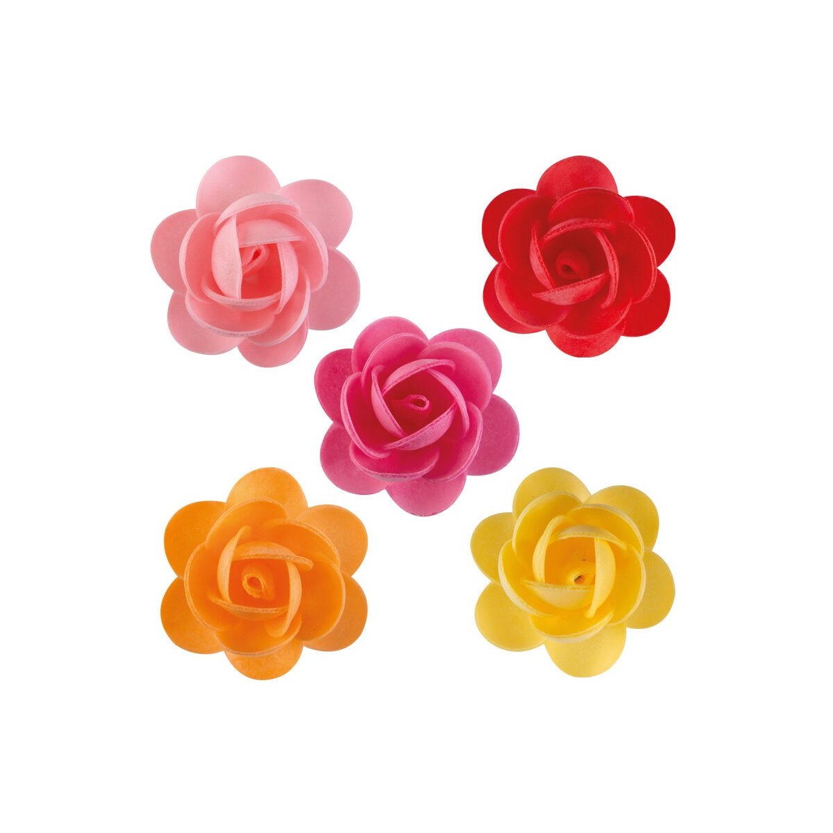 1049008 ROSES ANDREA 5CM 100PCESS/CD