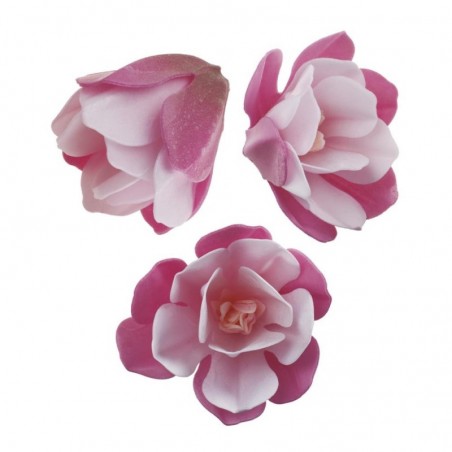 FLEUR MAGNOLIE AZYME 6.5-7CM 6 PCES