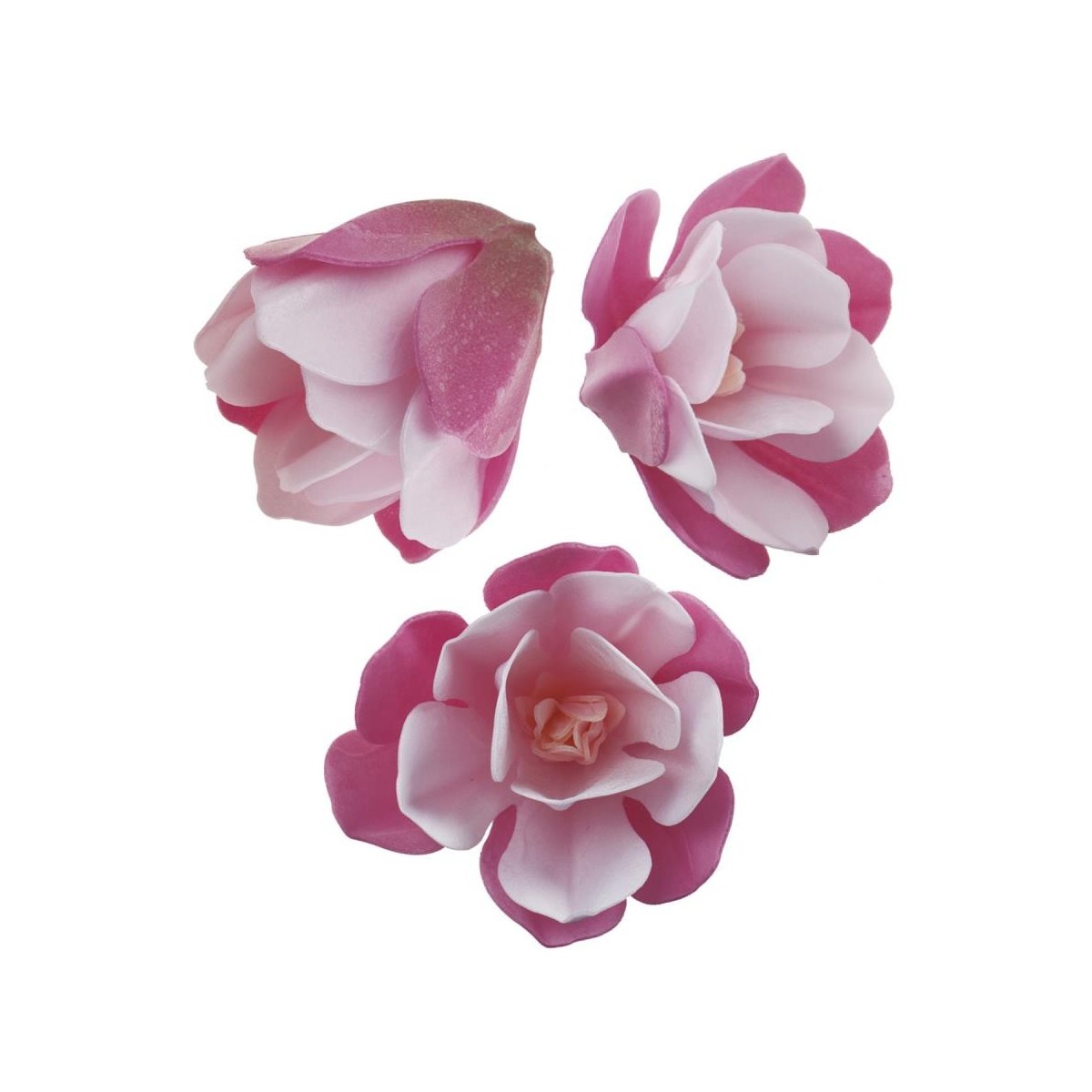 FLEUR MAGNOLIE AZYME 6.5-7CM 6 PCES