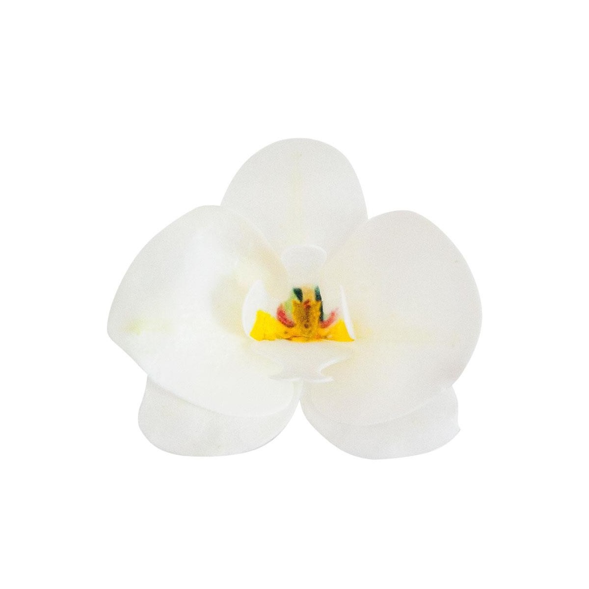 126067 DEK WITTE ORCHIDEE HOSTIE 10 STUKKEN DOOS