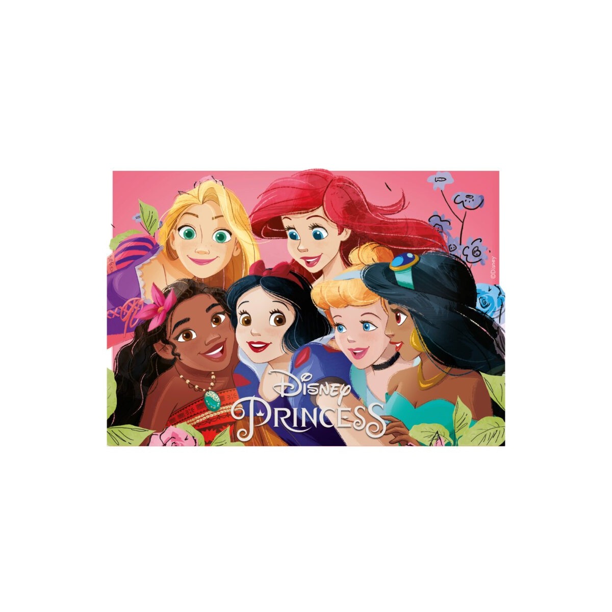 IMAGE EN AMIDON PRINCESSES 14,8X21CM