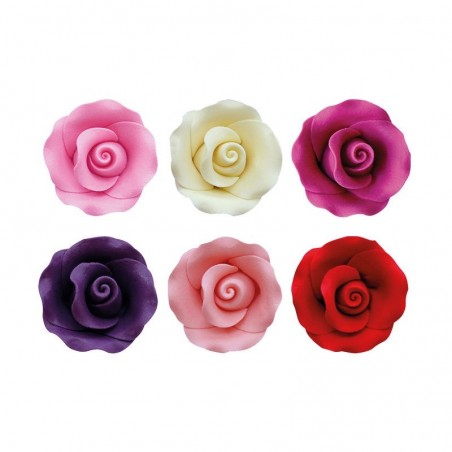 1066009 ASS ROSES MEDIUM 64PCES S/CDE