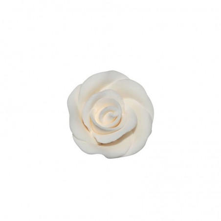 1066053 ROSE BLANCHE PETITE 64PCESS/CD