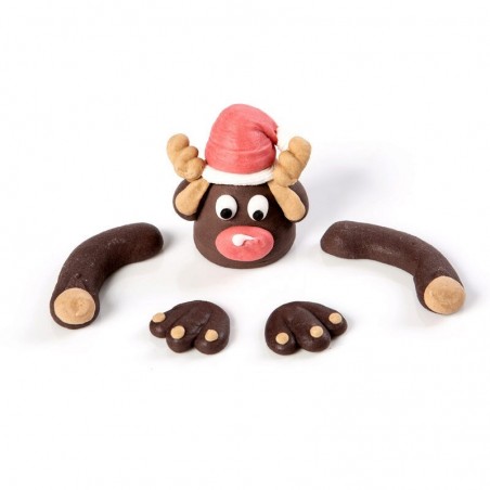 15363 SET RUDOLPH 24 STUKKEN DOOS