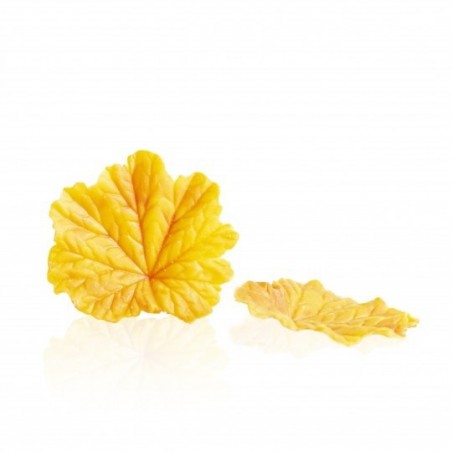 77688 SPRING LEAF YELLOW 24 STUKKEN DOOS