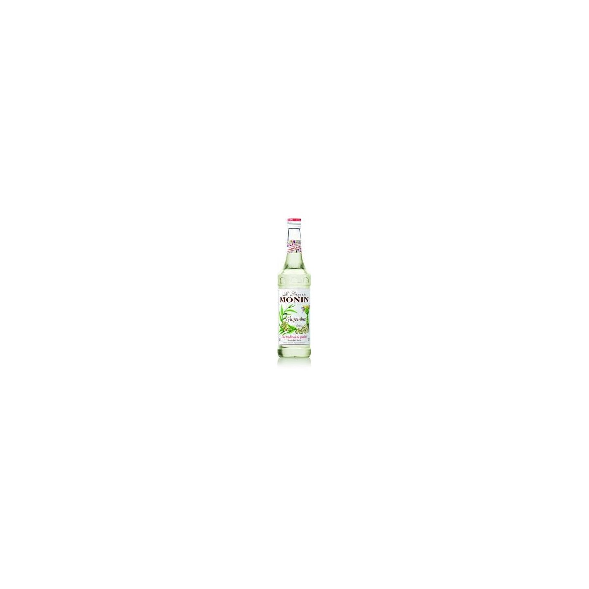 MONIN GEMBERSIROOP 70CL  FLES