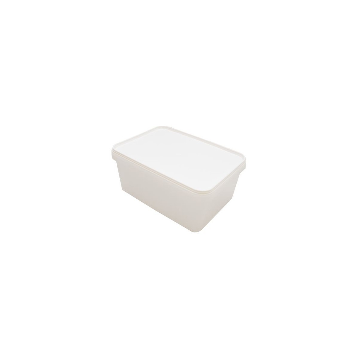PLASTIC ICE CREAM BOX 2,5L WITHOUT LID 120 PIECES 