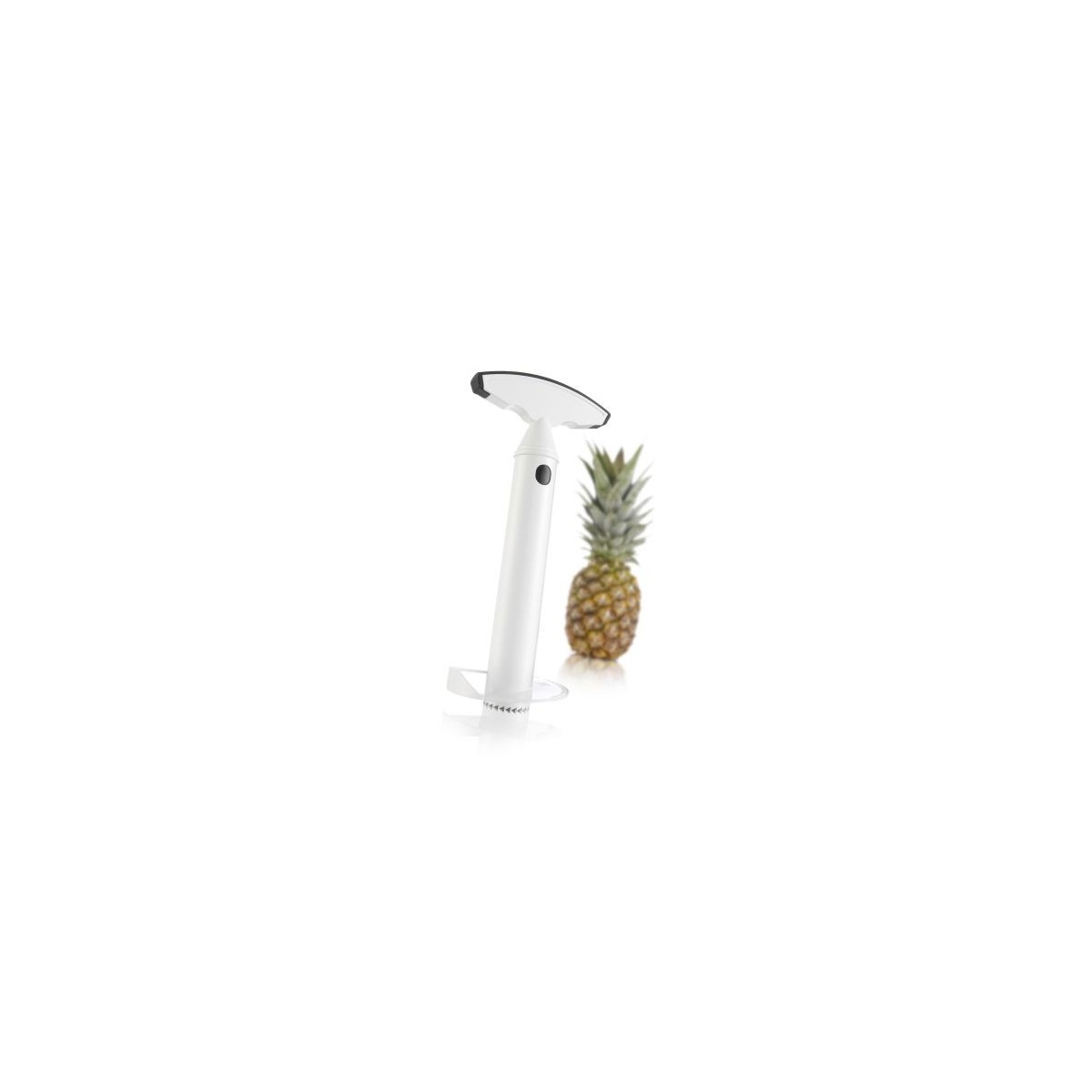 VACU VIN COUPE ANANAS PLASTIQUE+DECOUPE MORCEAUX