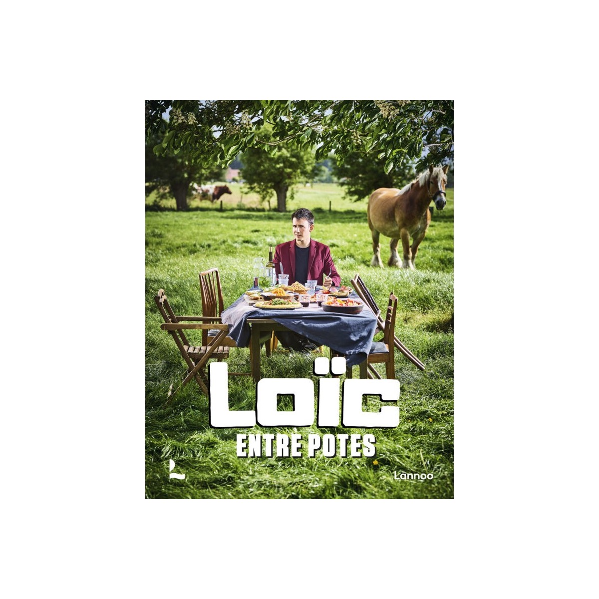 ENTRE POTES LOIC VAN IMPE ED.LANNOO BOEK