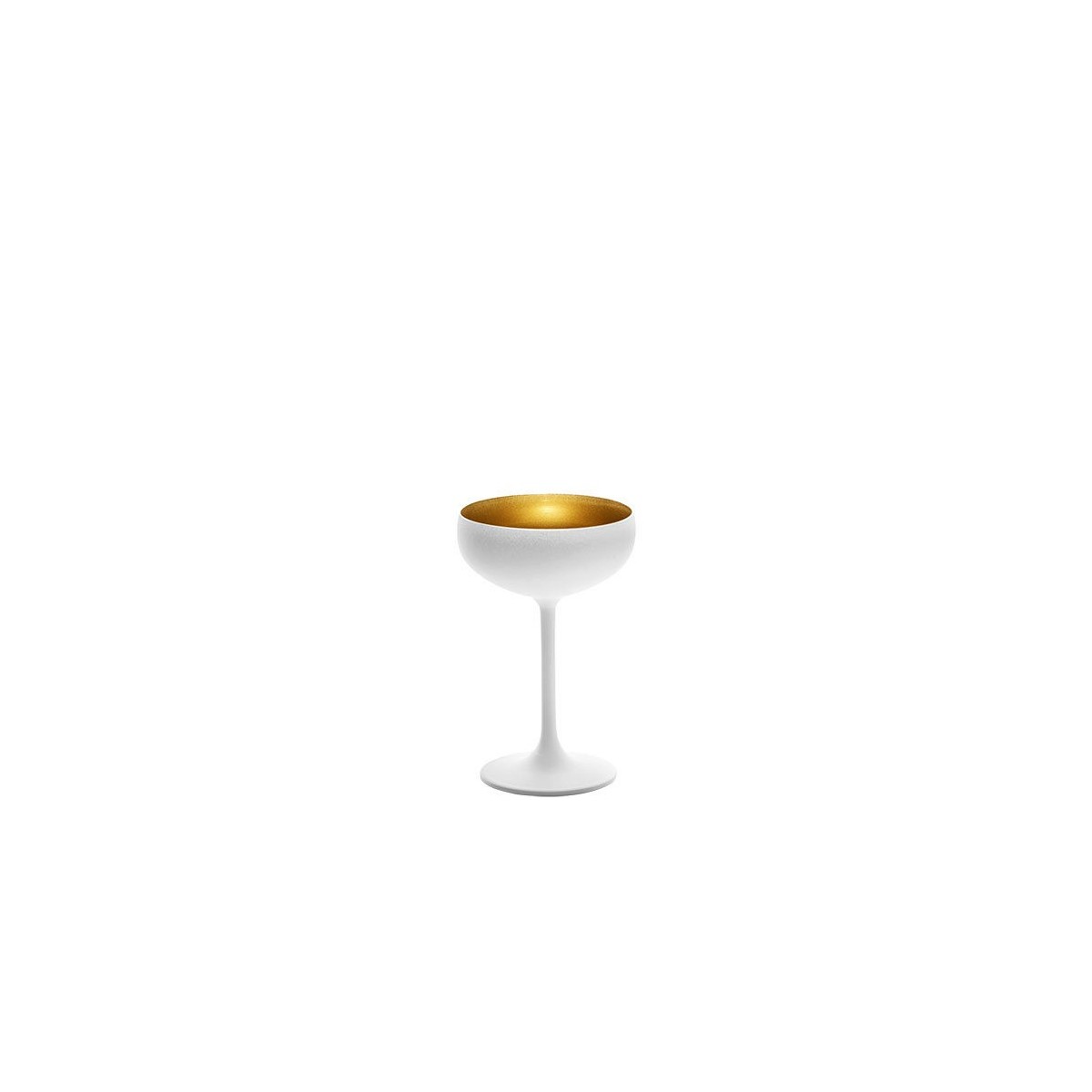 STOLZLE VERRE OLYMPIC COUPE CHAMPAGNE BLANC/OR 23CL