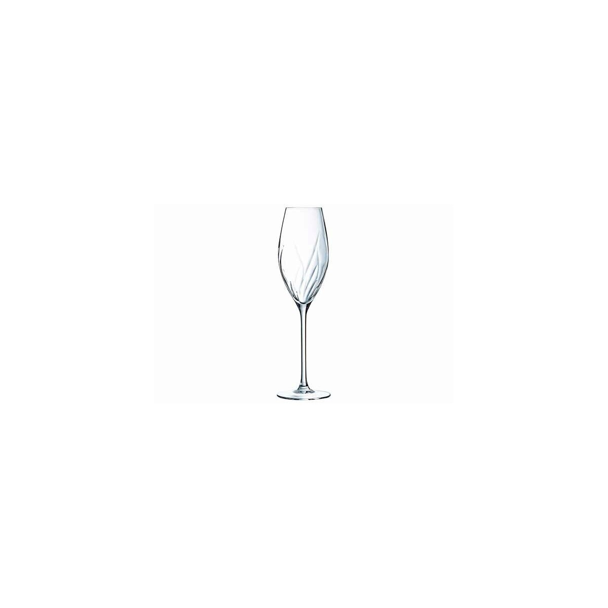 SWIRLY CHAMPAGNEGLAS 24CL 