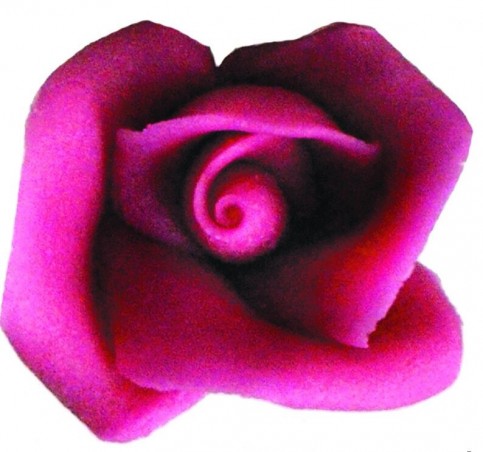 ROSES MASSEPAIN 5 PCES  FUCHSIA 5 PCES