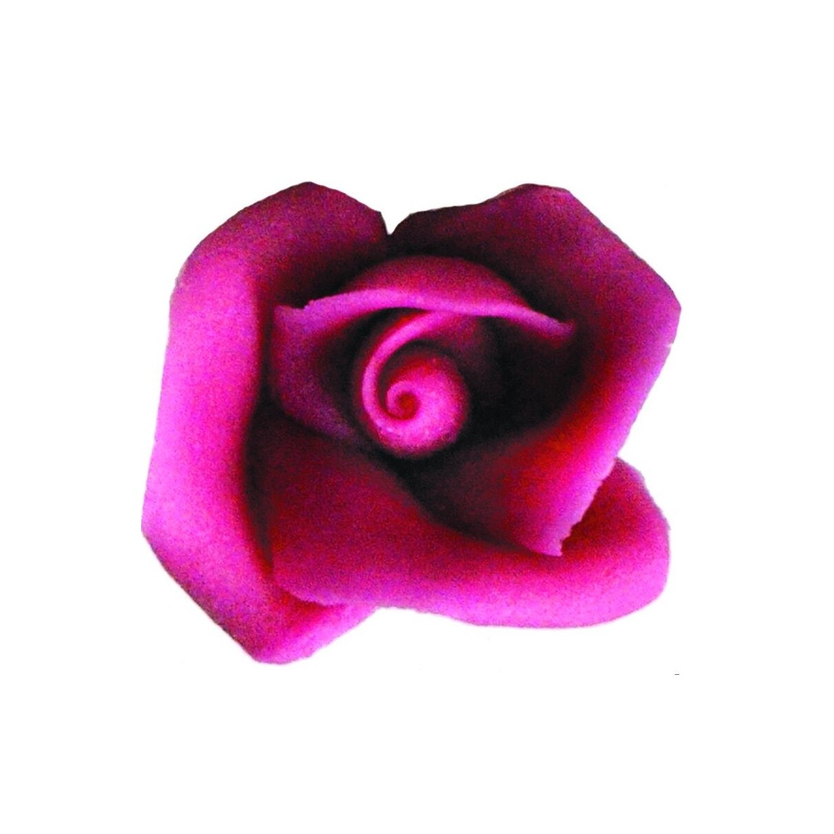 ROSES MASSEPAIN 5 PCES  FUCHSIA 5 PCES