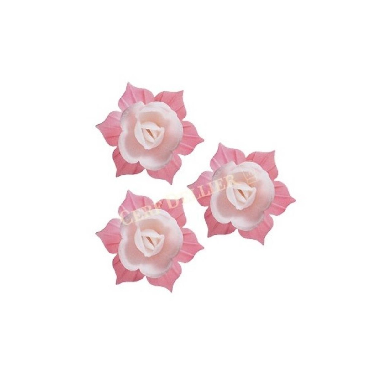 J02 JONQUILLE AZYME 45MM ROSE ET BLANC28 PCES