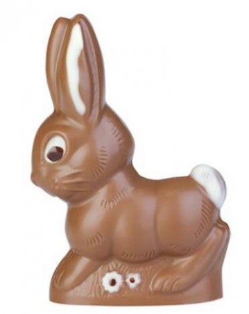 MOULE À CHOCOLAT LAPIN COURANT 240 MM HB422D