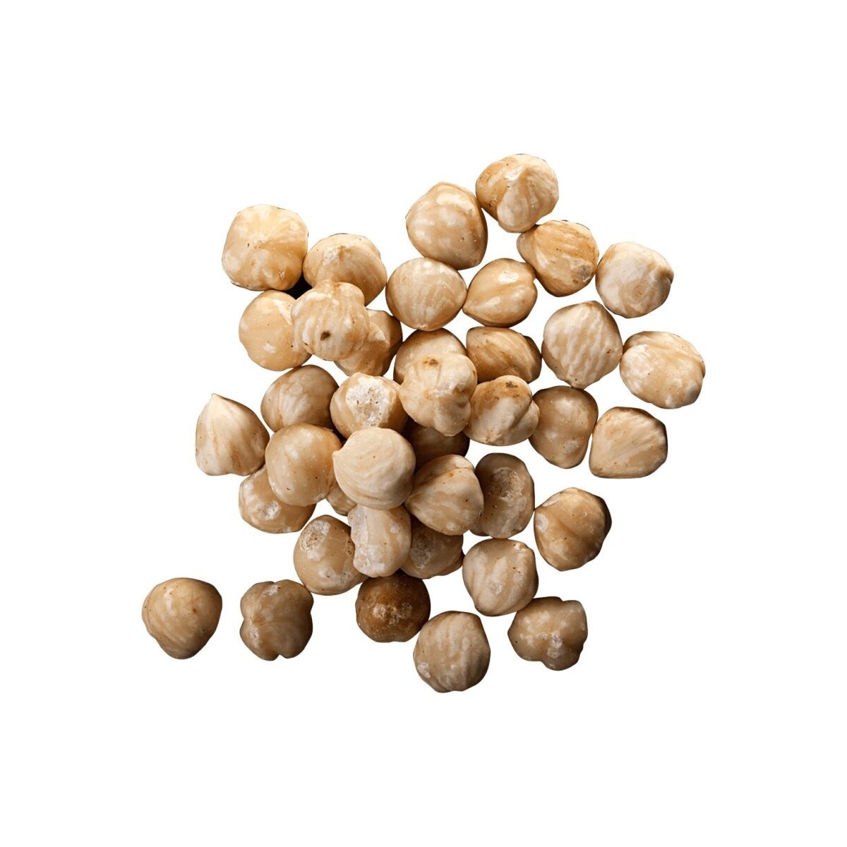 HAZELNUTS WHOLE WHITE ROASTED 10KG 12/14MM