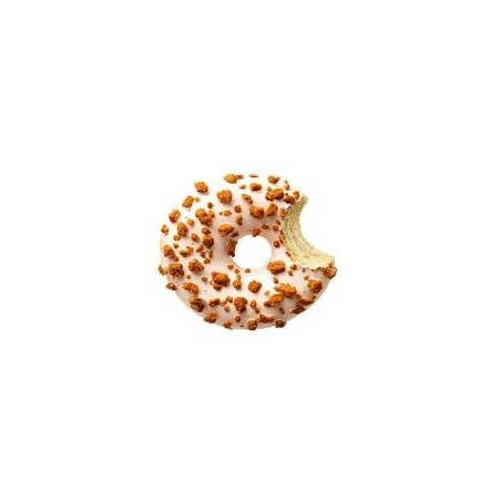 DAUPHINE 2104781 DONUT SPECULOOS  SPECTACULOUS  48 X 57GR