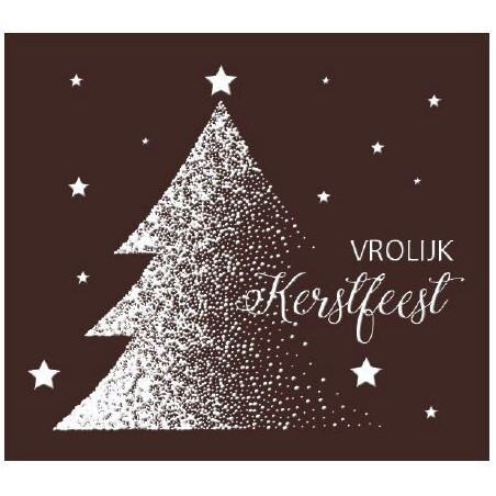 083085 PCB RECHTHOEKEN CN MET RELIËF VROLIJK KERSTFEEST 51X45 MM 48 STUKS 