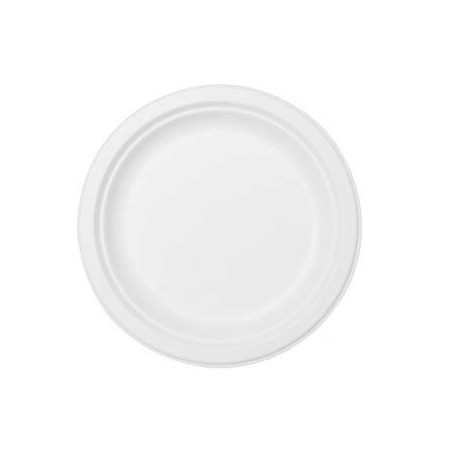 DUNI ASSIETTES BLANCHE "BAGASSE" BIO D/22CM PAQUET DE 10 ASSIETTES