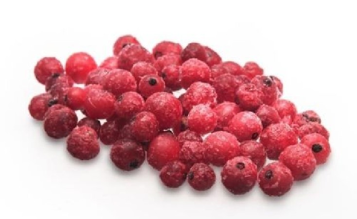 DIRAFROST REDCURRANT 4 X 2,5KG KG