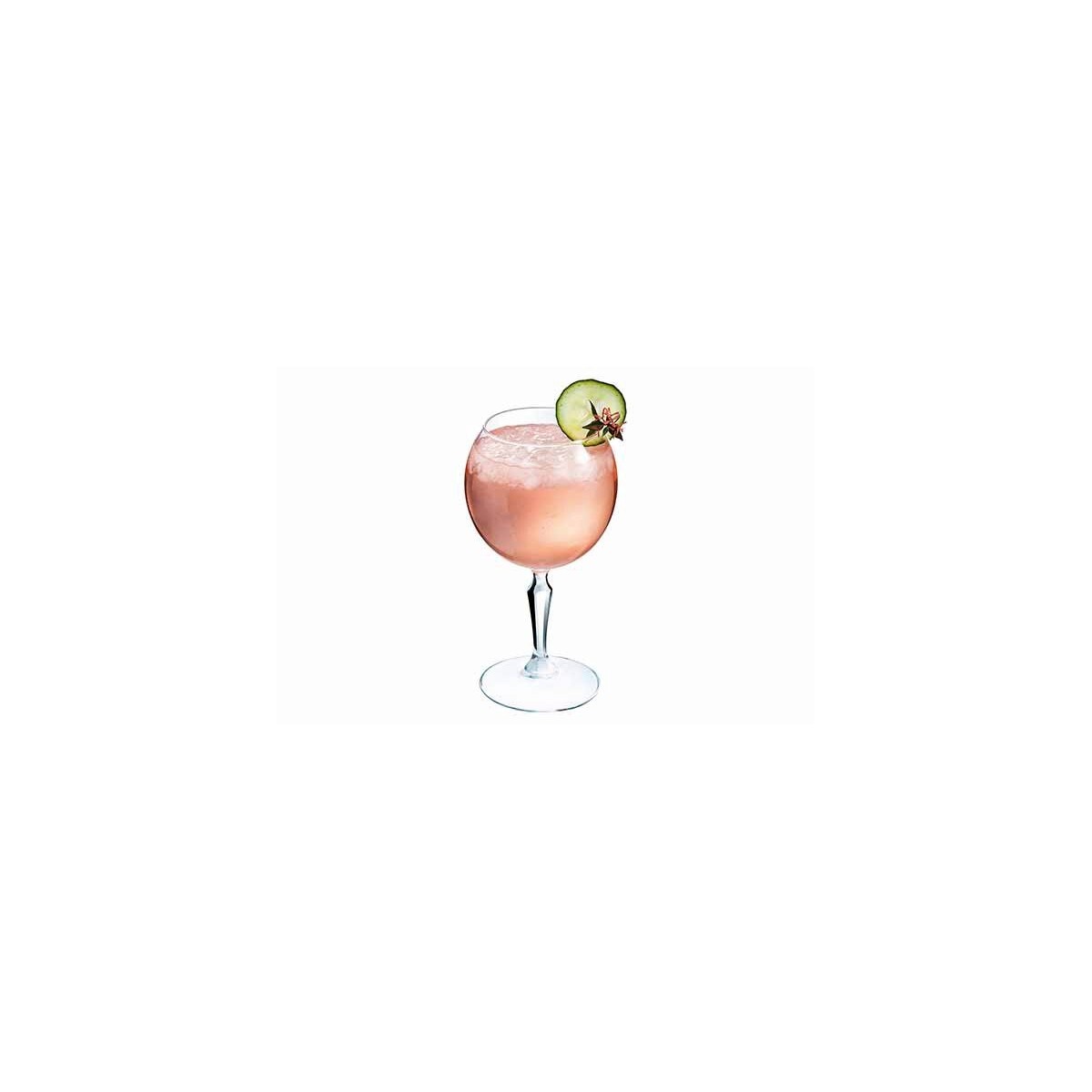 +ARCOROC VERRE MONTI GIN 58CL