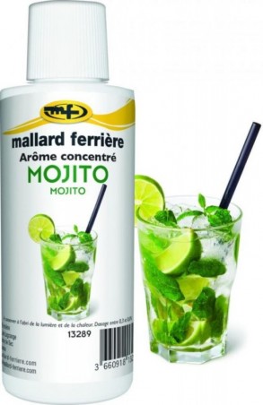 13289 AROME MALLARD FERRIERE 125ML MOJITO