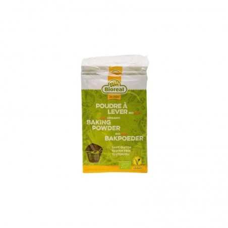 BIOREAL POUDRE A LEVER  BIO  3X15 GR