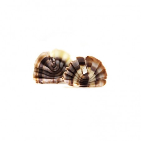 1095683 FORÊT MINI MARBLED 3X2,2CM (+/- 185PCS) 352GR 