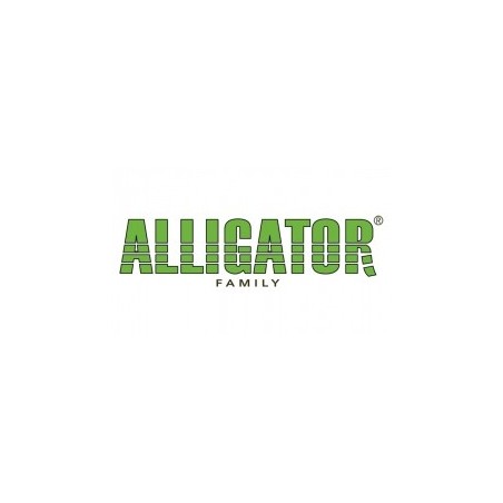 Alligator