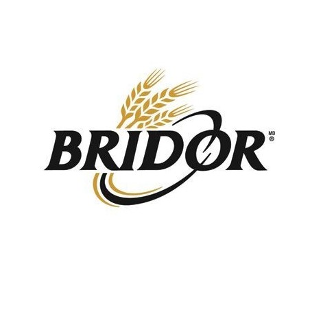 Bridor